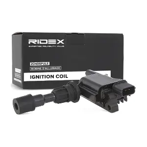 RIDEX 689C0097