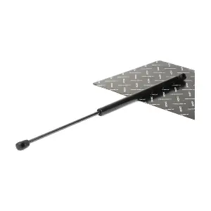 RIDEX 219G0769