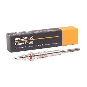243G0169 RIDEX