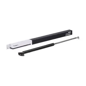 RIDEX 219G0802