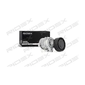 310T0071 RIDEX