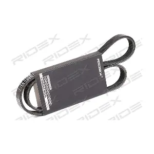 305P0314 RIDEX