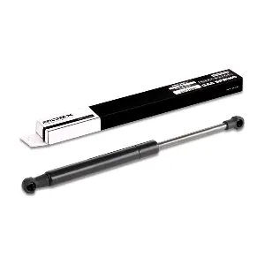 219G0117 RIDEX
