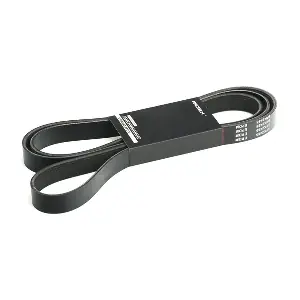 305P0318 RIDEX