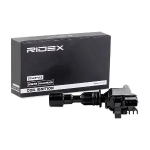 689C0184 RIDEX