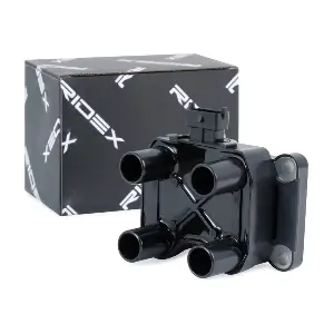 RIDEX 689C0313