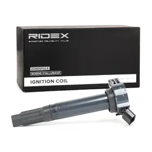 RIDEX 689C0166