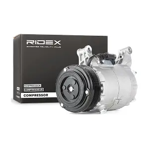 RIDEX 447K0025