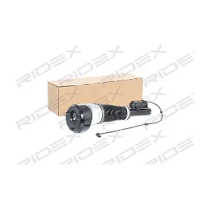 4118A0007 RIDEX