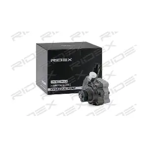 12H0110 RIDEX