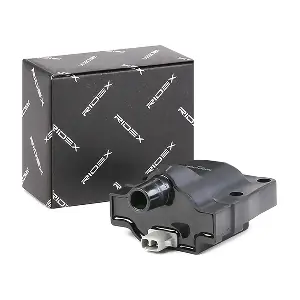 689C0100 RIDEX