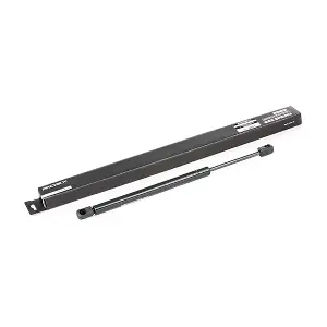 219G0387 RIDEX