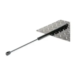 219G0302 RIDEX