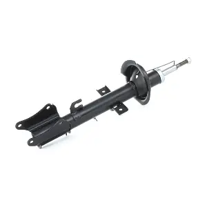 RIDEX 854S0119