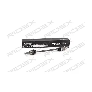 RIDEX 13D0106