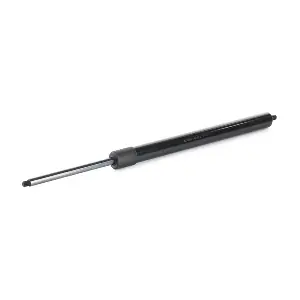 219G0998 RIDEX