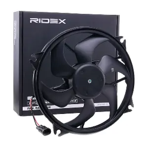 RIDEX 508R0100