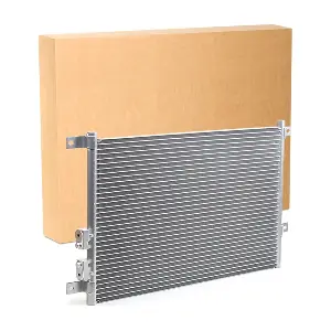 RIDEX 448C0387