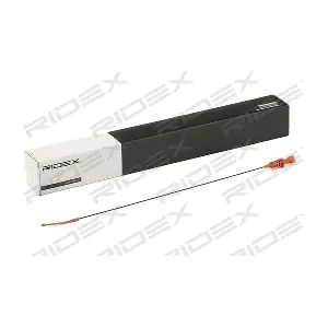 599O0017 RIDEX
