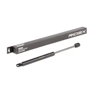 219G0916 RIDEX