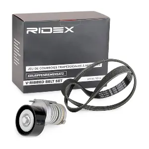 542R0248 RIDEX