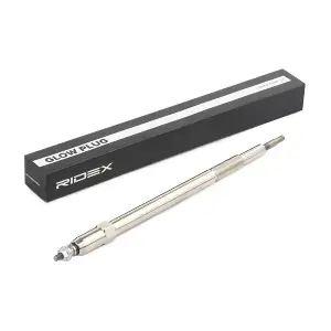 243G0081 RIDEX