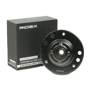 RIDEX 1180S0087