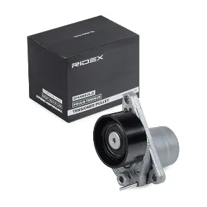 310T0302 RIDEX