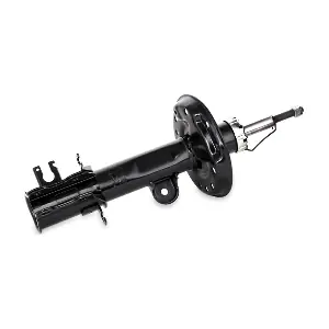 RIDEX 854S0547