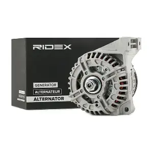 RIDEX 4G0809