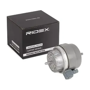 247E0270 RIDEX