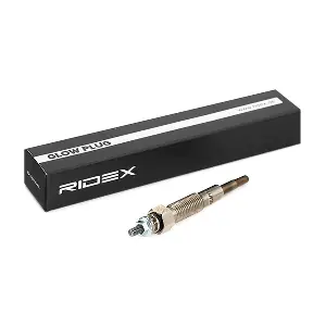RIDEX 243G0039