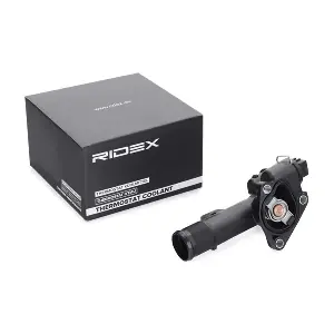 316T0319 RIDEX