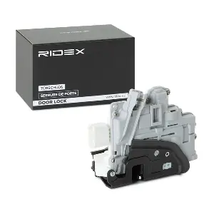 1361D0166 RIDEX