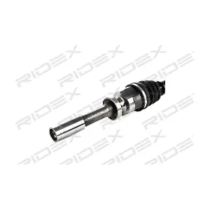 13D0013 RIDEX