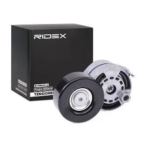 310T0201 RIDEX