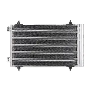 448C0118 RIDEX