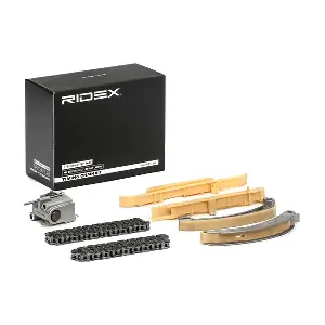1389T0099 RIDEX
