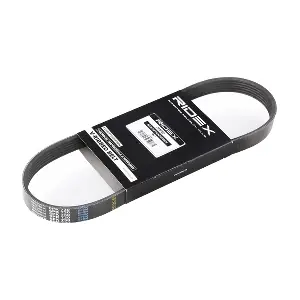 305P0195 RIDEX