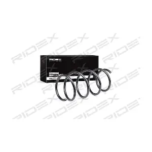188C0325 RIDEX