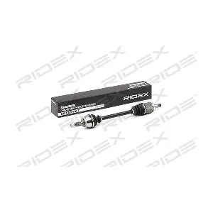RIDEX 13D0312
