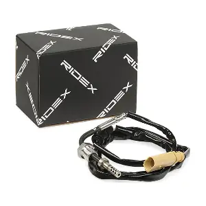 3938E0209 RIDEX