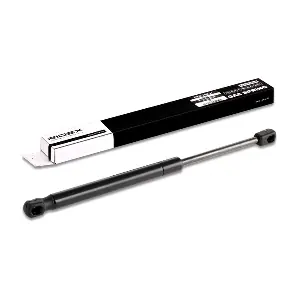 219G0076 RIDEX