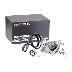 3096W0111 RIDEX