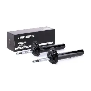 854S1876 RIDEX