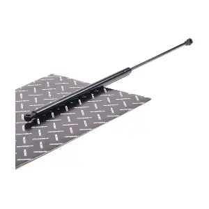 219G0195 RIDEX