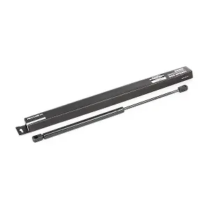 RIDEX 219G0313