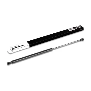 219G0229 RIDEX