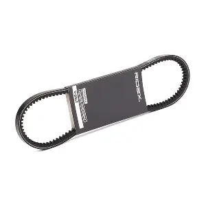 10C0023 RIDEX