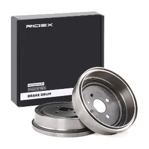 RIDEX 123B0031